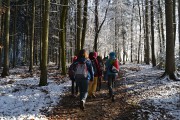 Skautky a světlušky v Říčanech Skautky a světlušky v Říčanech