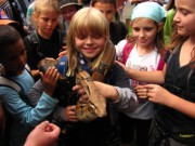 Zahajovačka 2011