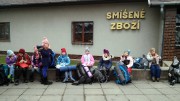 Světluščí trojdenka